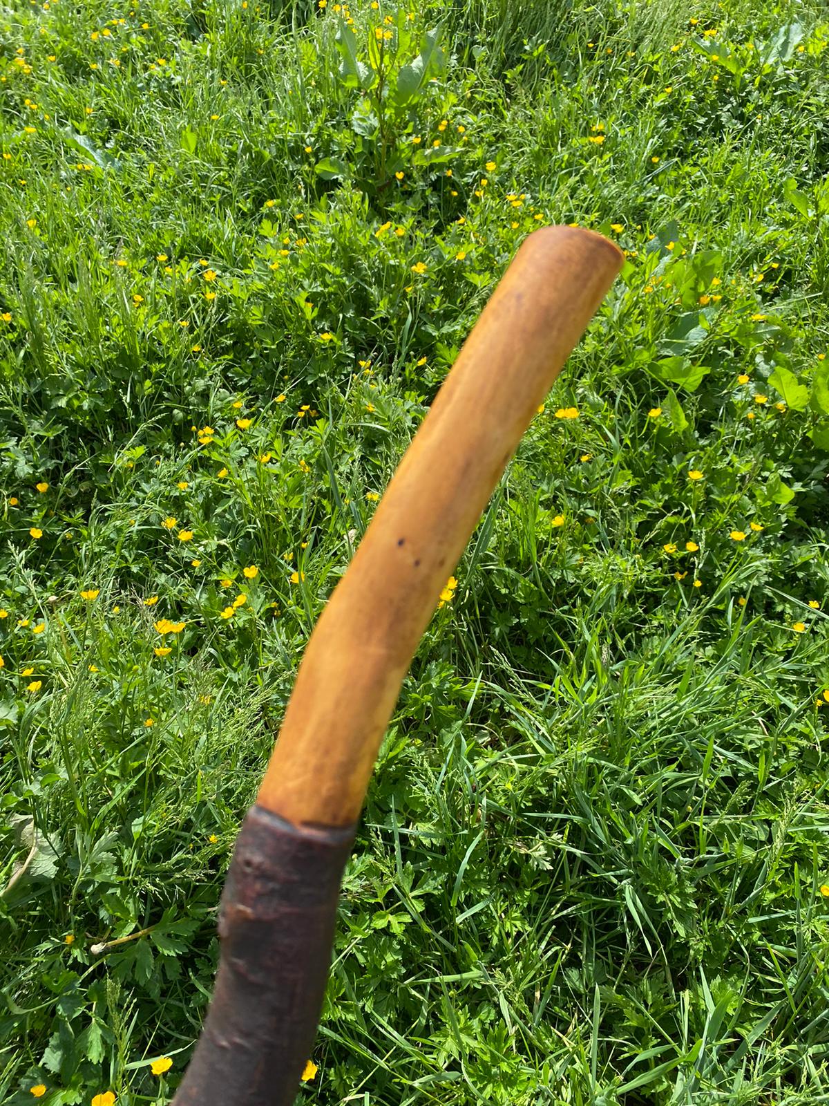 Blackthorn Hiking Stick | Irish Walking Sticks