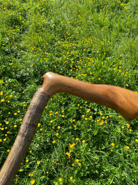 Mountain Ash Stick | Irish Walking Sticks