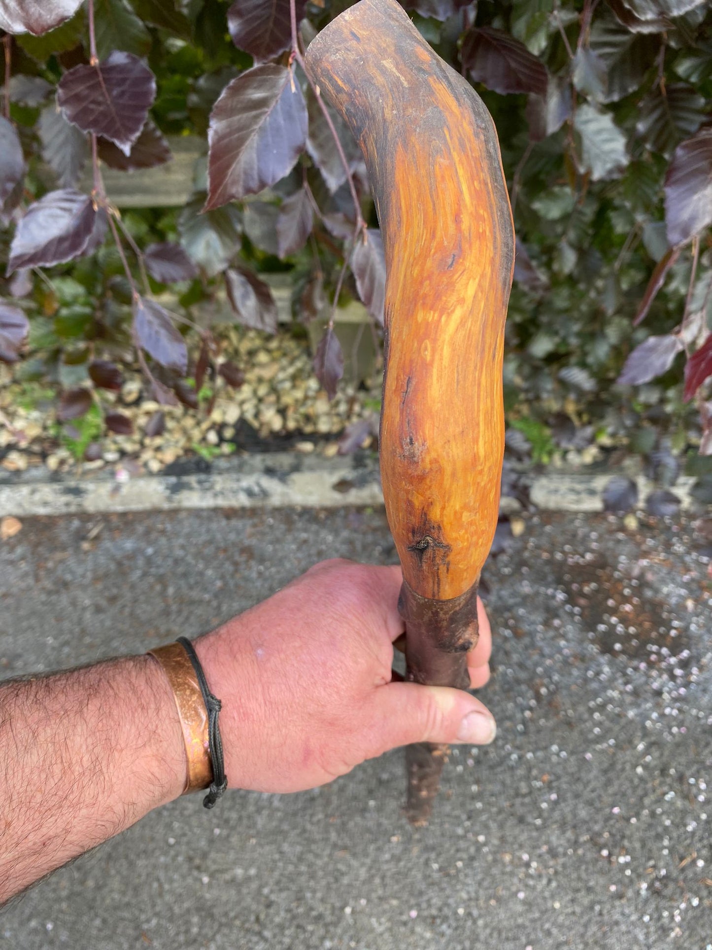 Blackthorn and Hawthorn Irish Walking Stick