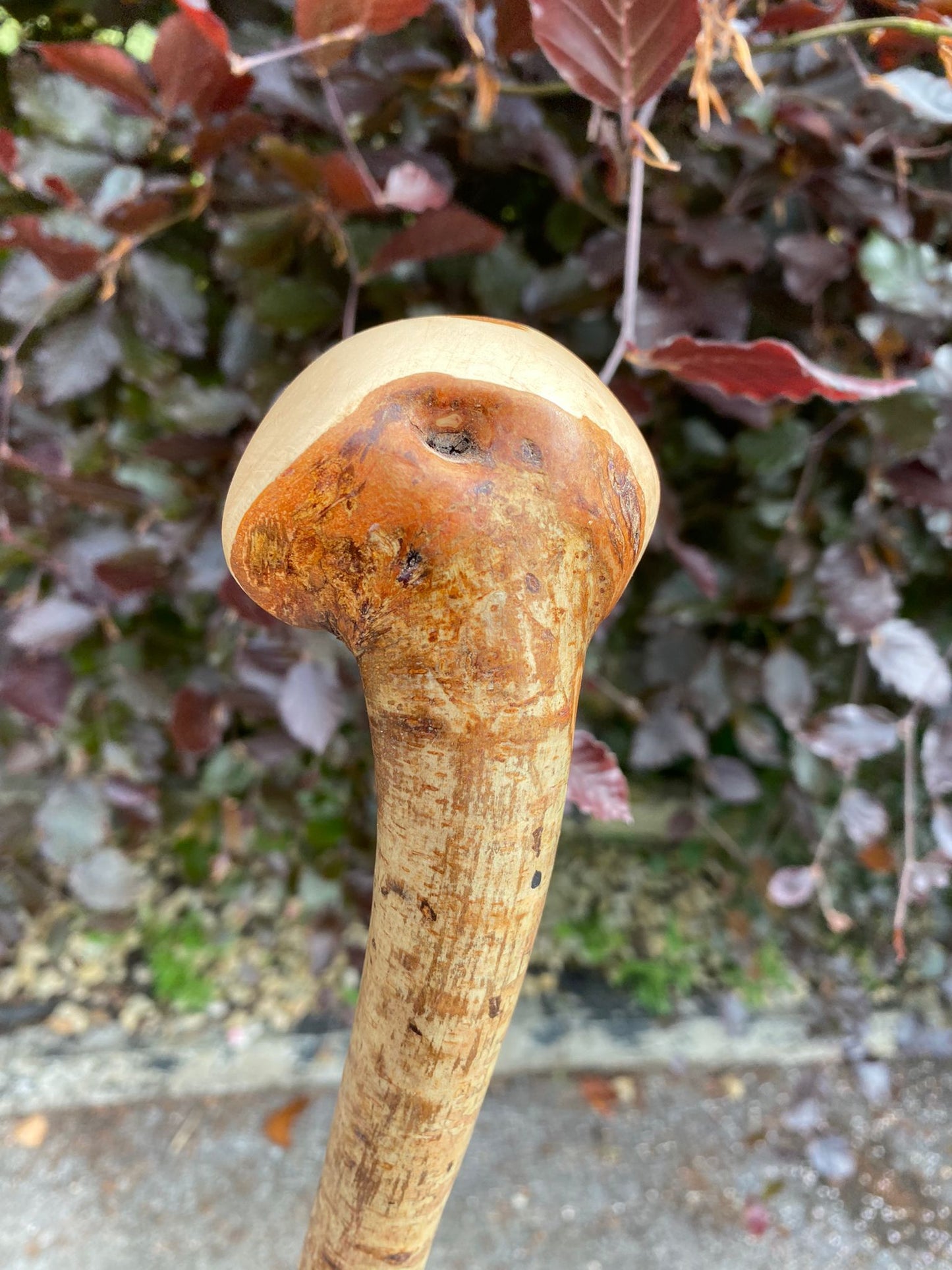 Hazel Irish Walking Stick