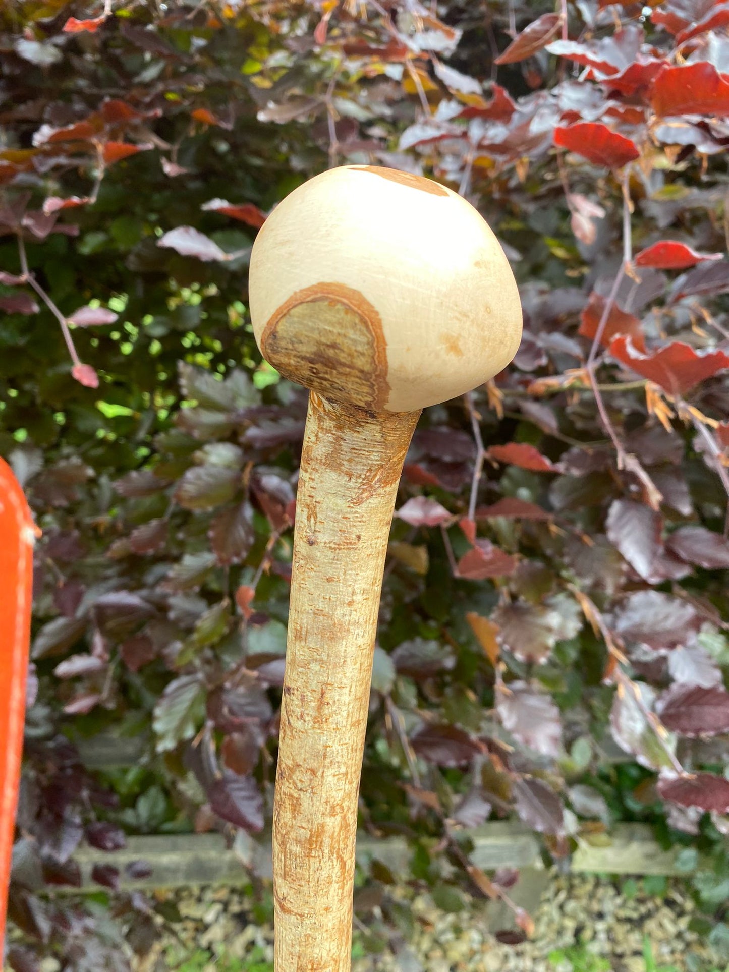 Hazel Irish Walking Stick