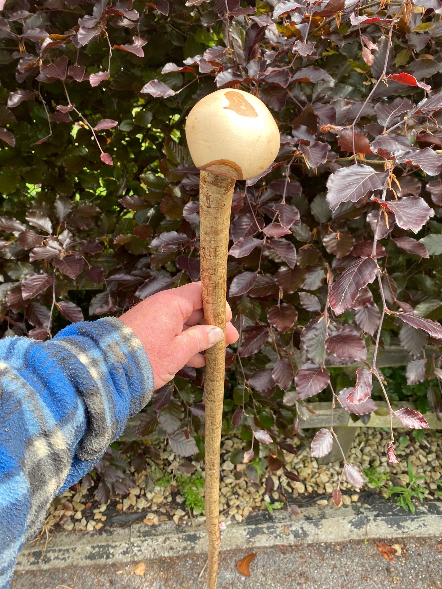 Hazel Irish Walking Stick