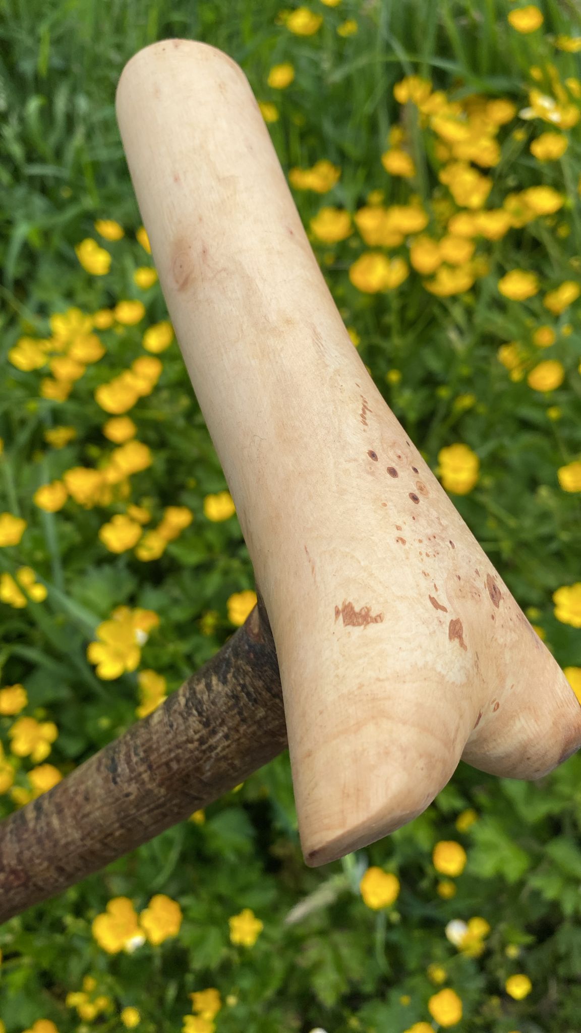 Big L Blackthorn Stick | Irish Walking Sticks