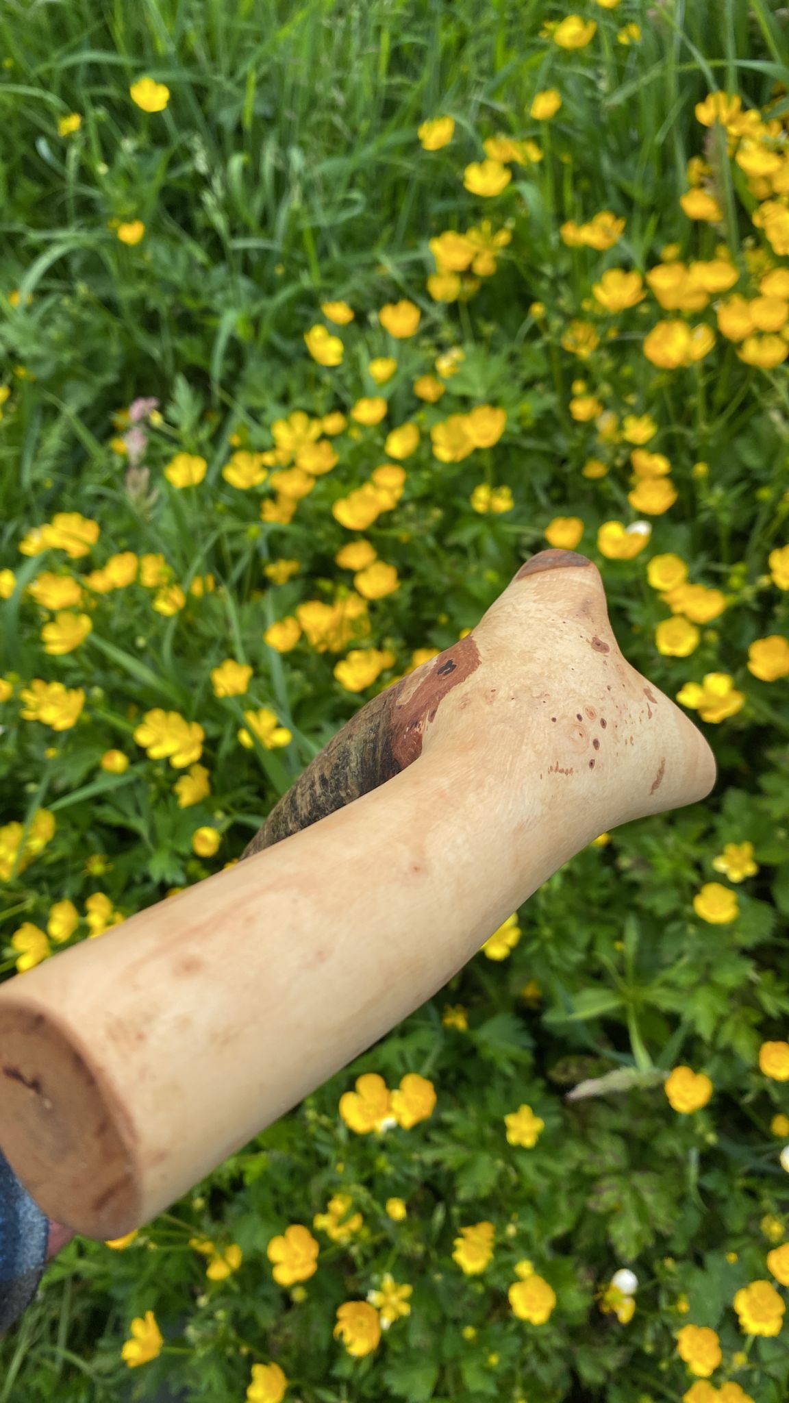 Big L Blackthorn Stick | Irish Walking Sticks