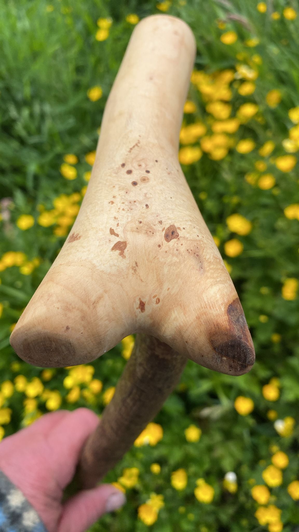Big L Blackthorn Stick | Irish Walking Sticks