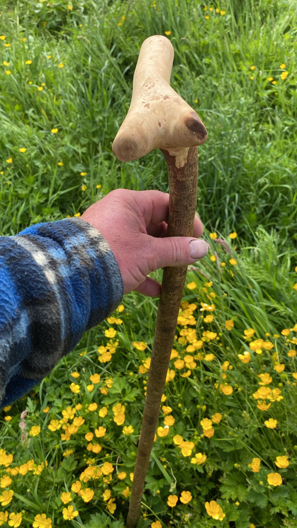 Big L Blackthorn Stick | Irish Walking Sticks