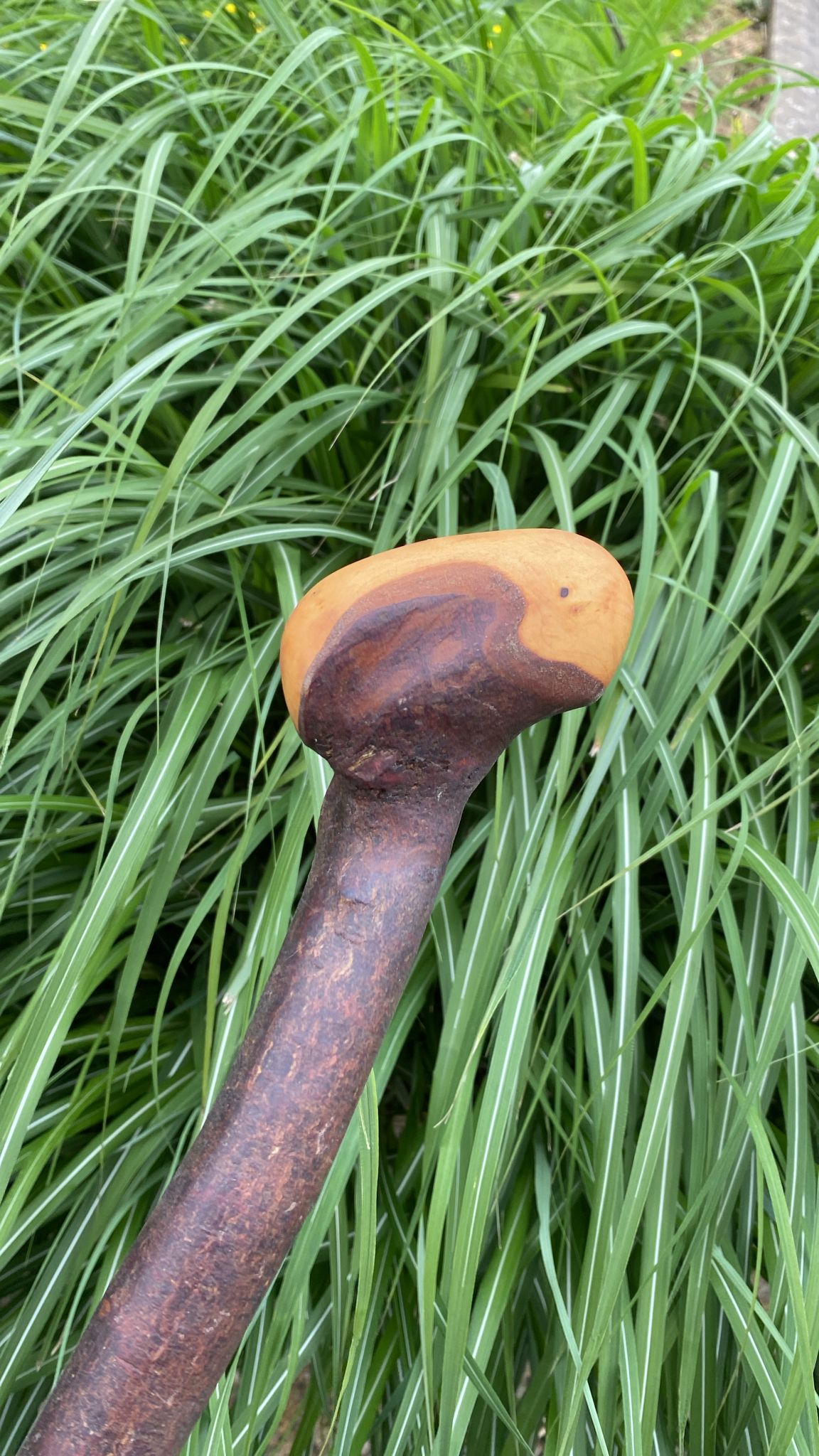 Classic Blackthorn Stick | Irish Walking Sticks