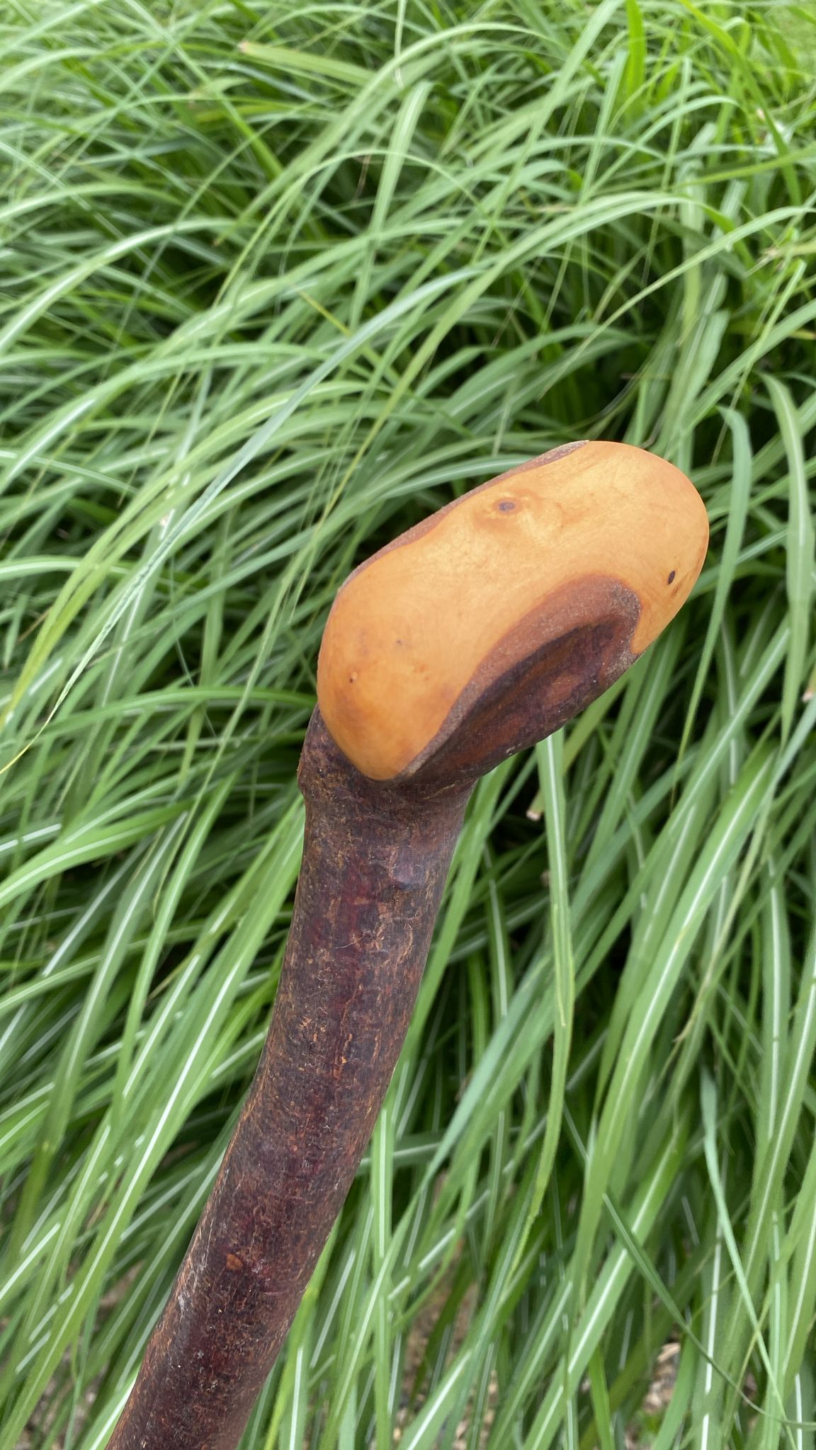 Classic Blackthorn Stick | Irish Walking Sticks