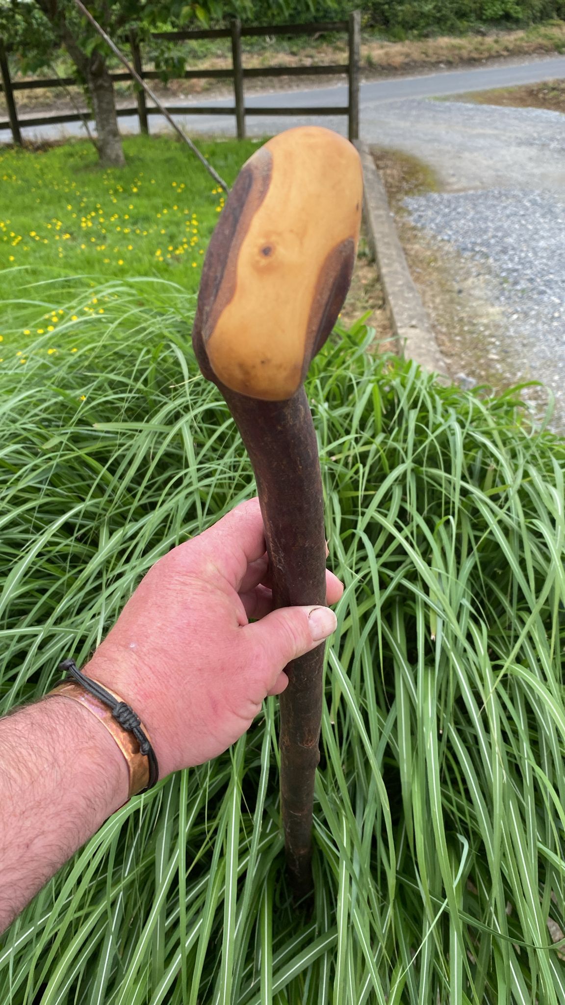 Classic Blackthorn Stick | Irish Walking Sticks