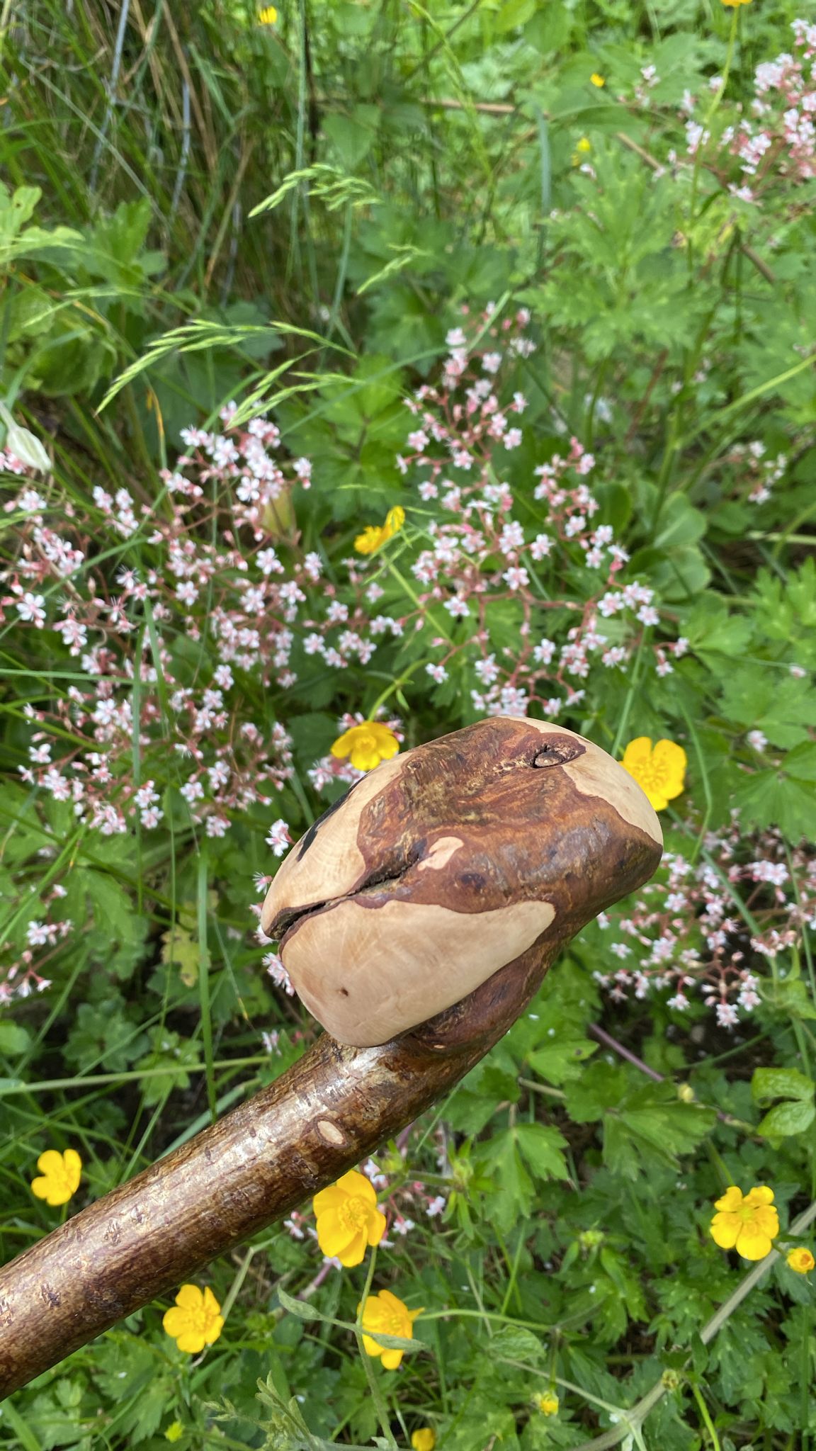 Hazel Nob Stick