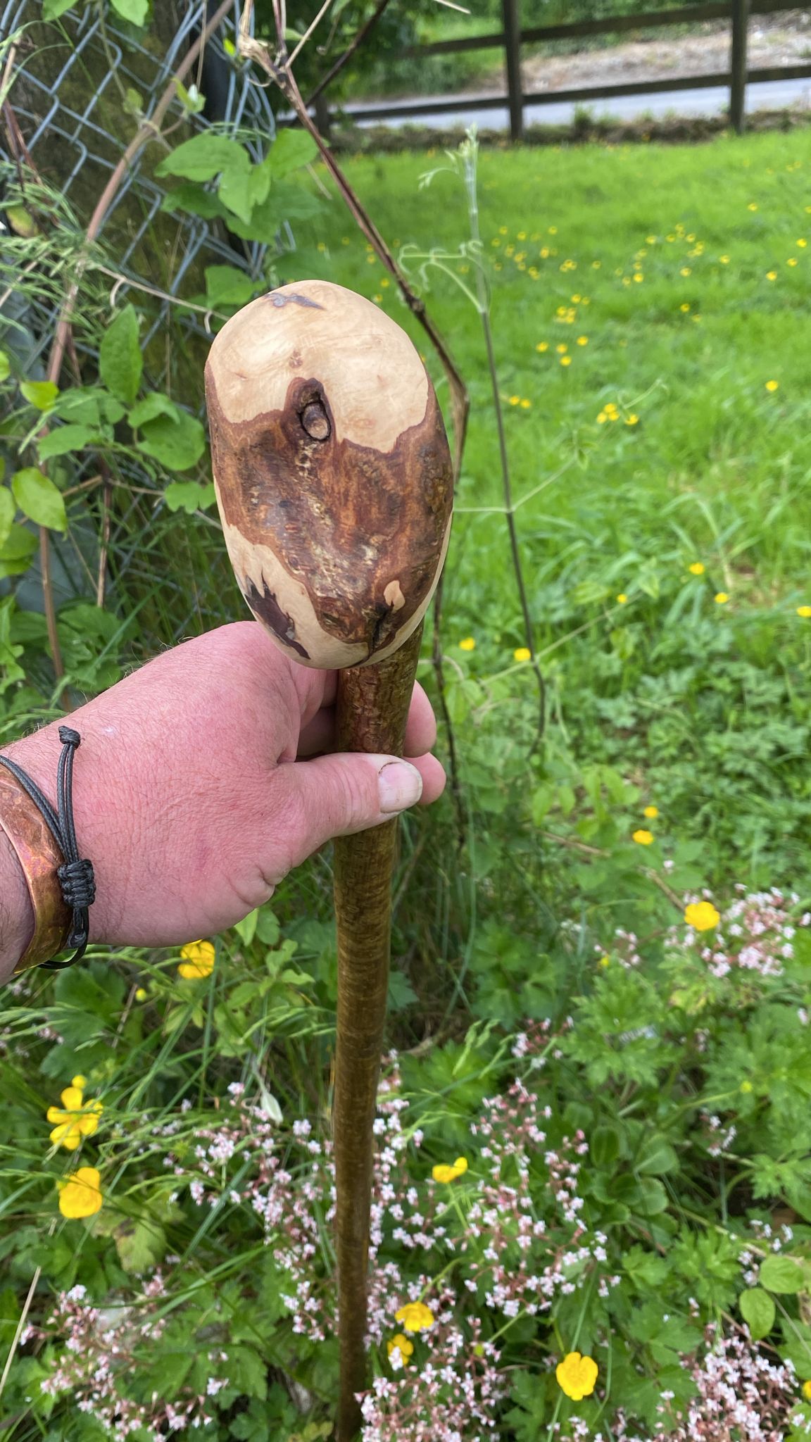 Hazel Nob Stick