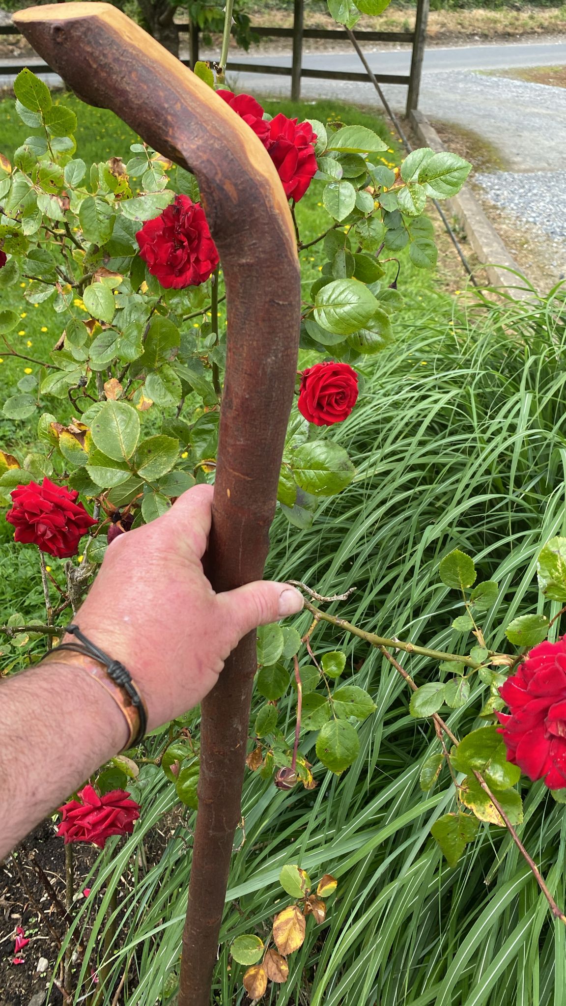 Ash Stick 42" Wide | Irish Walking Sticks