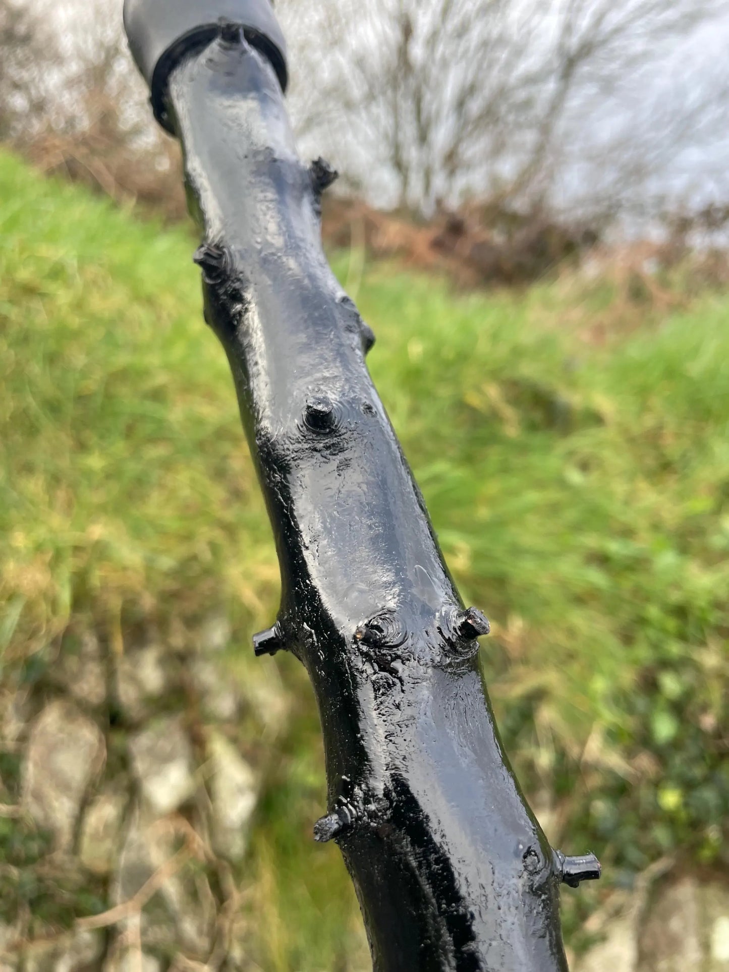Luxury Blackthorn walking stick with Handle