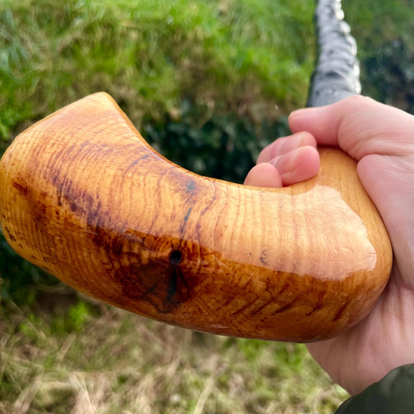 Luxury Blackthorn walking stick with Handle