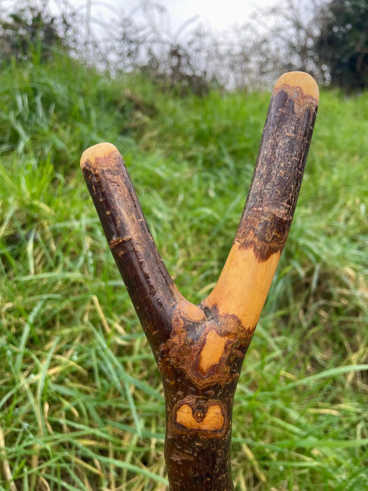 Tall Blackthorn Staff #2 | Irish Walking Sticks