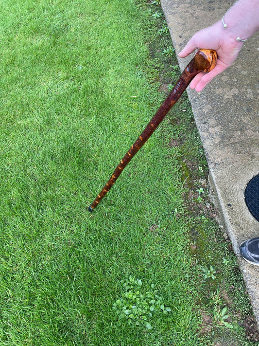 40" Lovely Blackthorn | Irish Walking Sticks