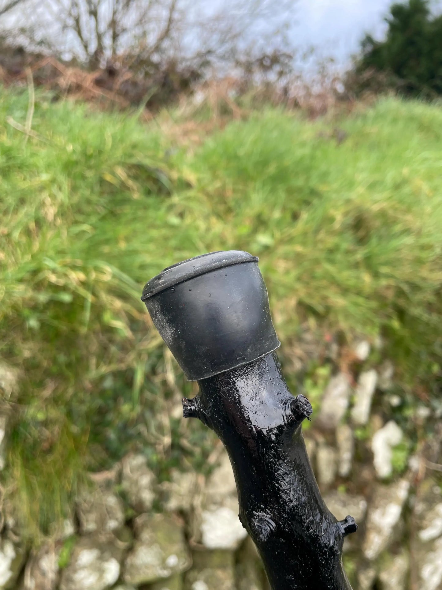 Luxury Blackthorn walking stick with Handle