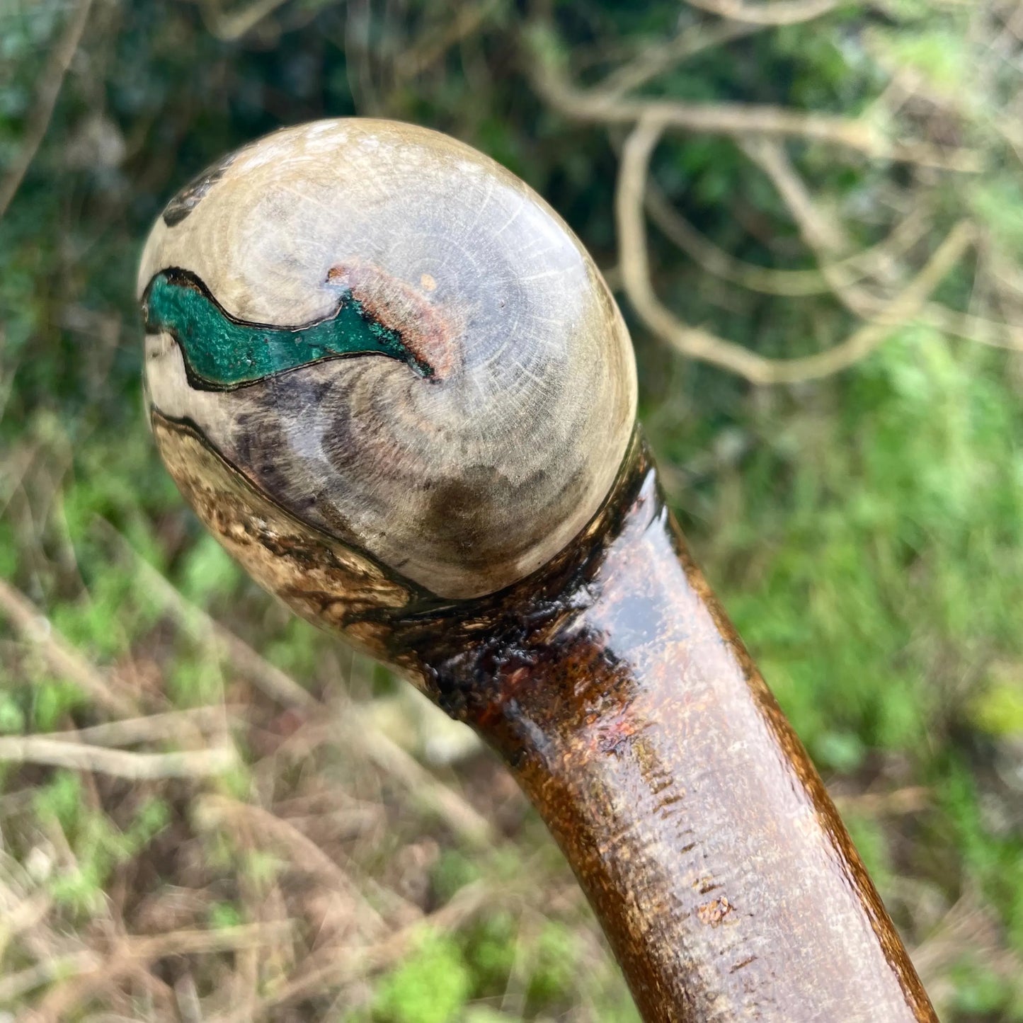 Hazel Irish walking stick with a large knobhead