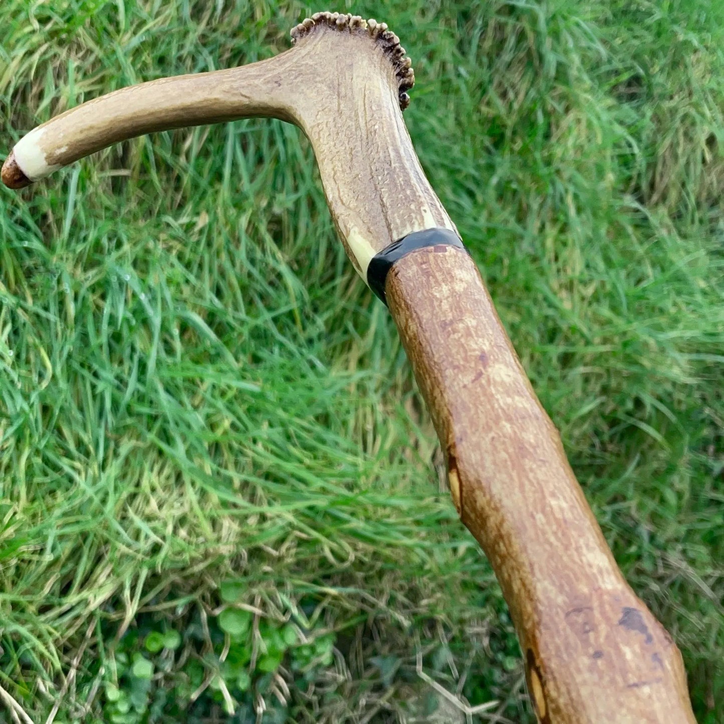 Antler Staff Blackthorn | Irish Walking Sticks