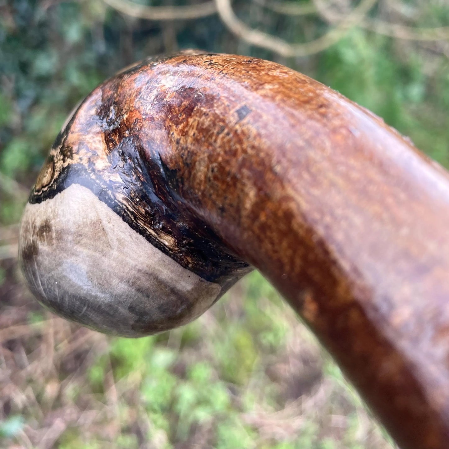 Hazel Irish walking stick with a large knobhead