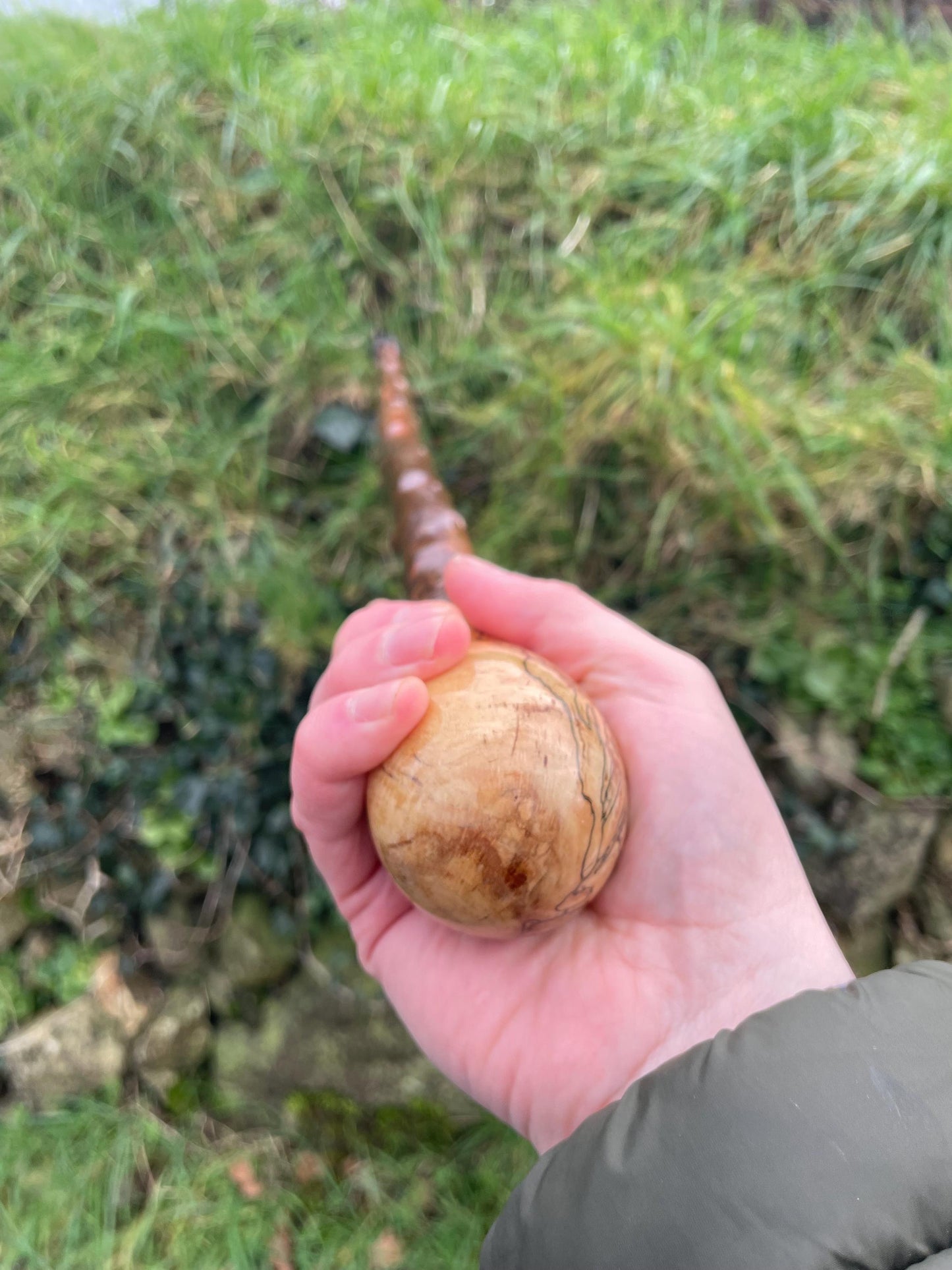 Luxury Blackthorn walking stick with Bulb head