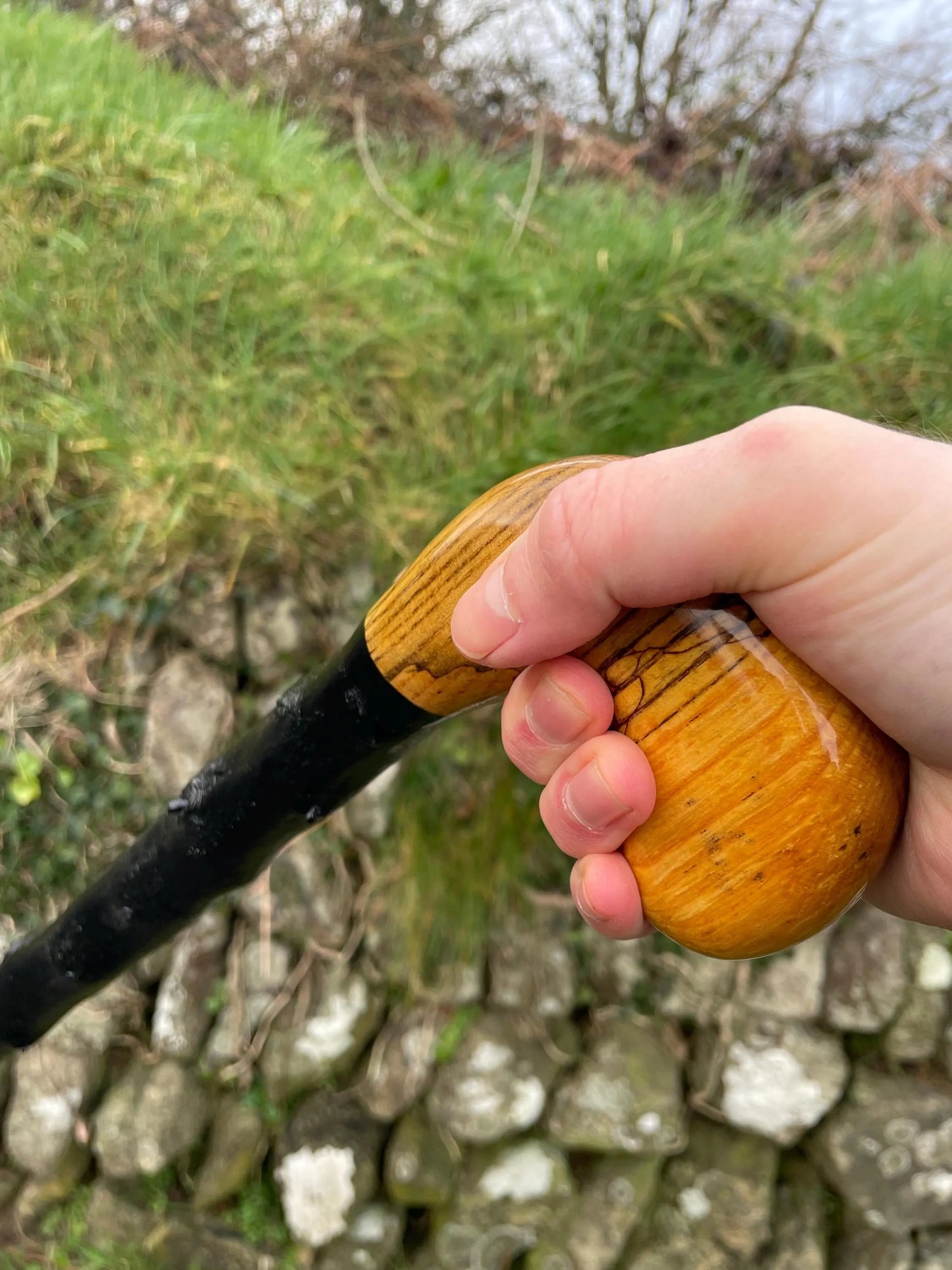 Luxury Blackthorn walking stick with Handle