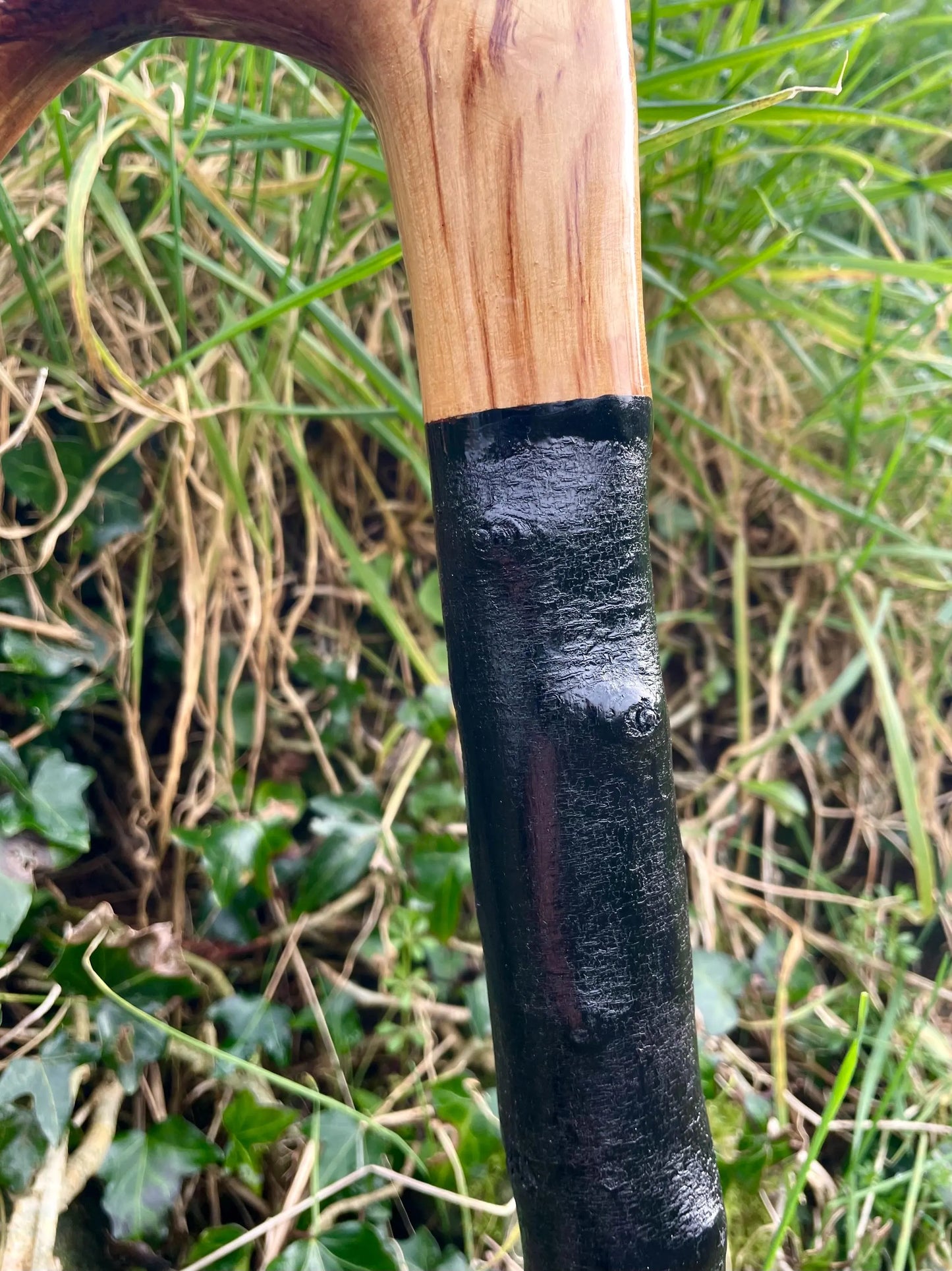 Luxury Blackthorn walking stick with Handle