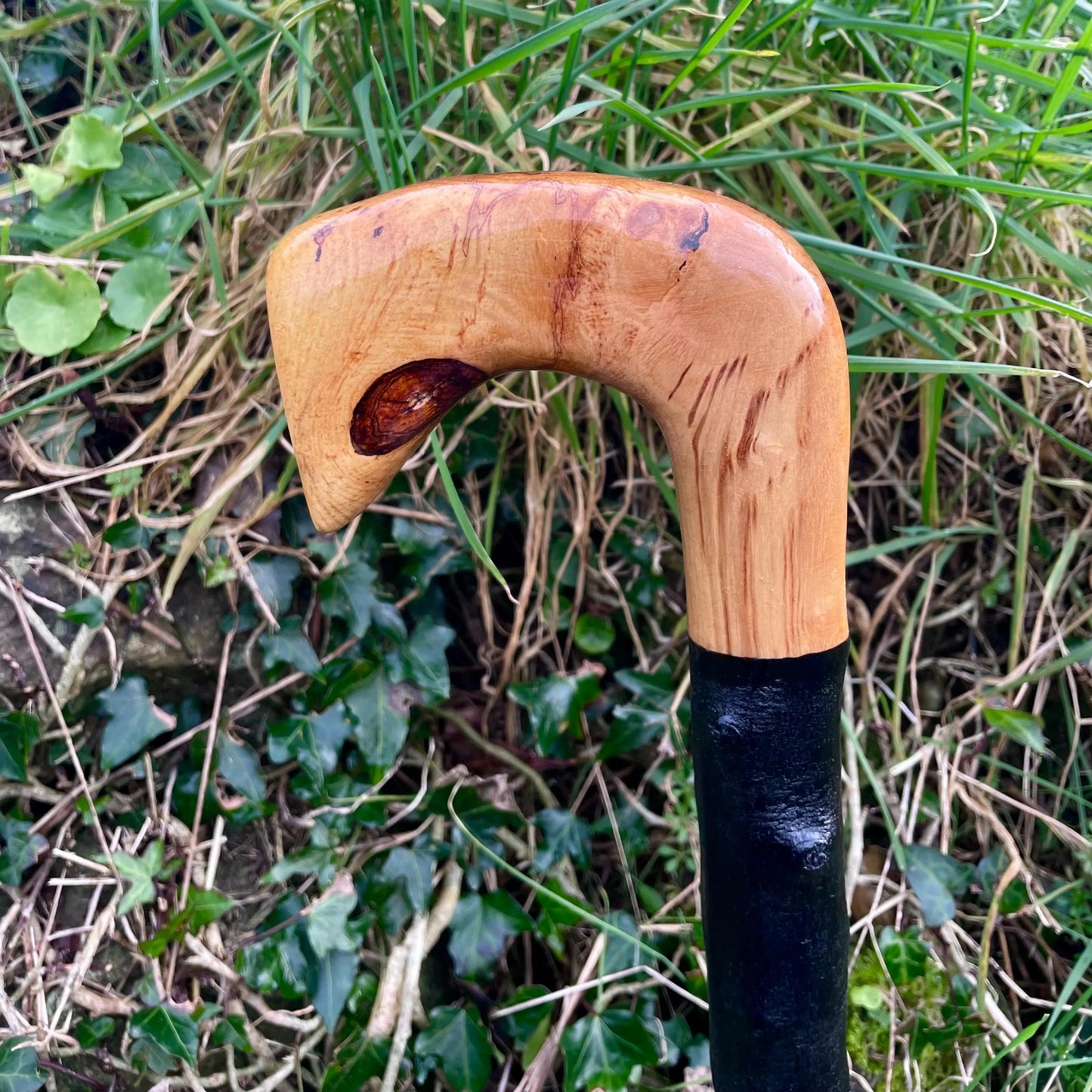 Luxury Blackthorn walking stick with Handle