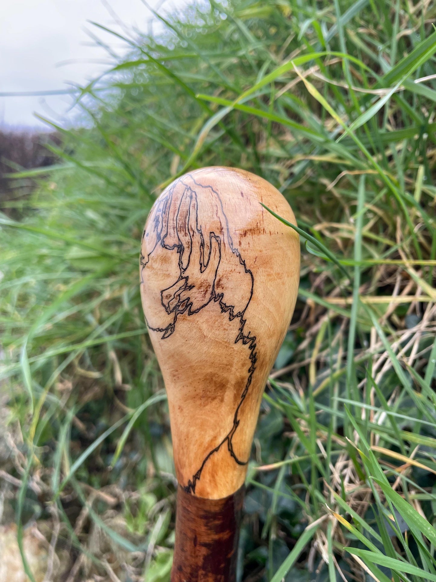 Luxury Blackthorn walking stick with Bulb head