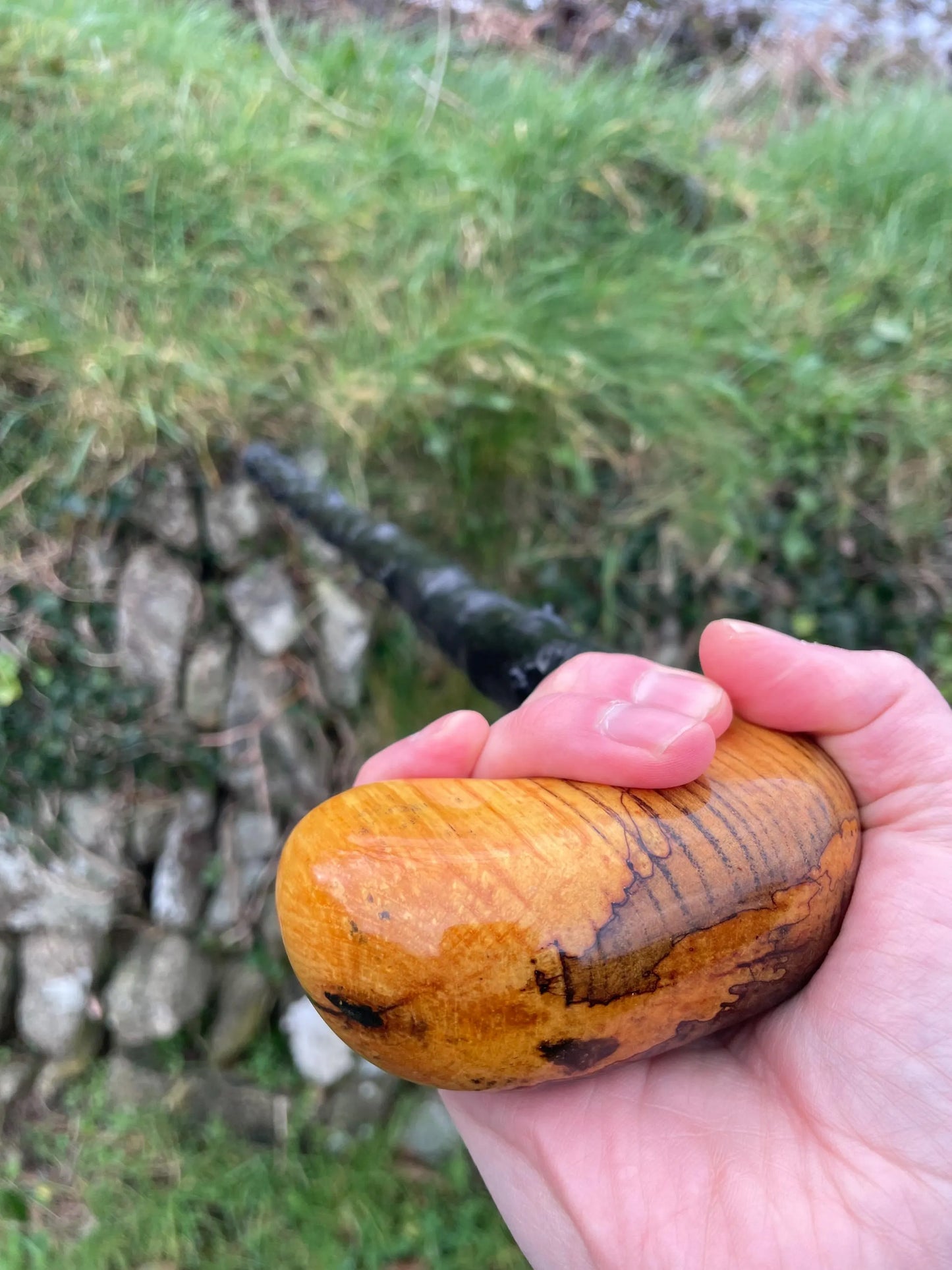 Luxury Blackthorn walking stick with Handle