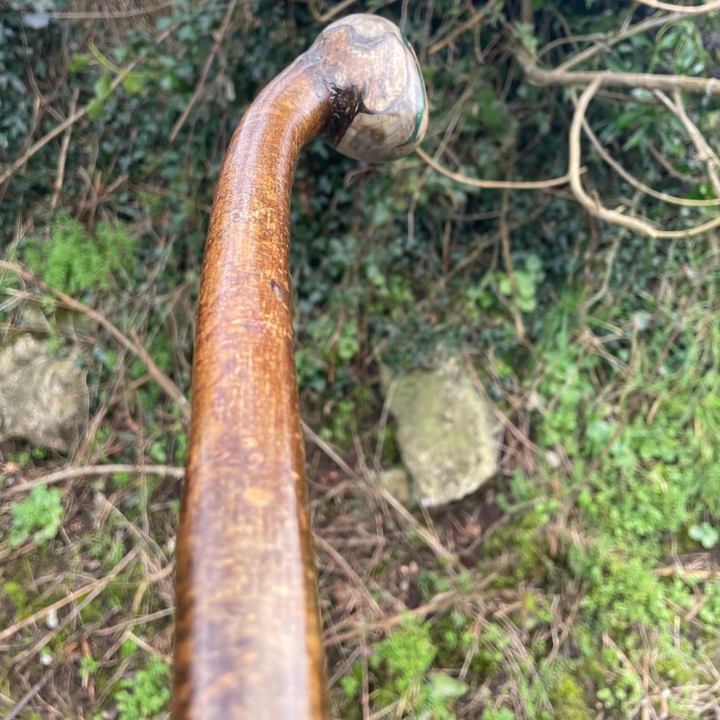 Hazel Irish walking stick with a large knobhead