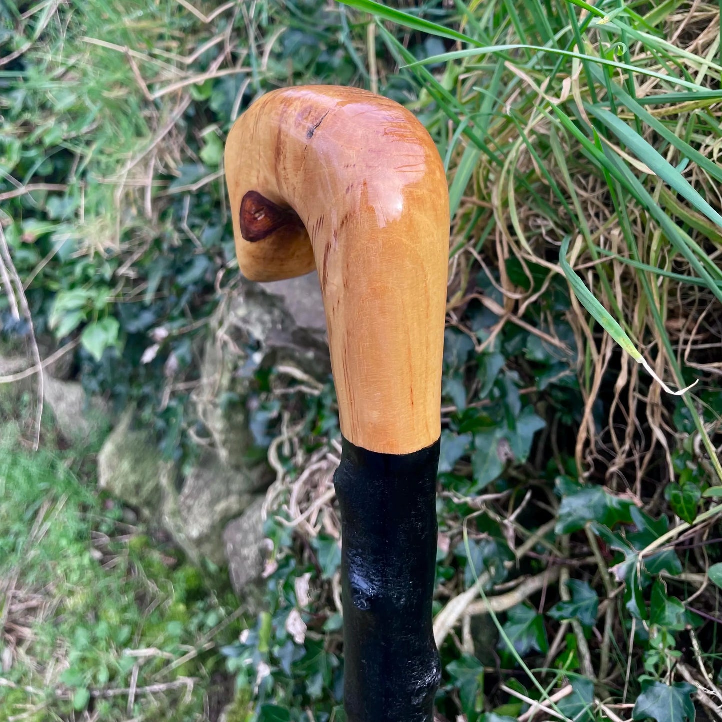 Luxury Blackthorn walking stick with Handle