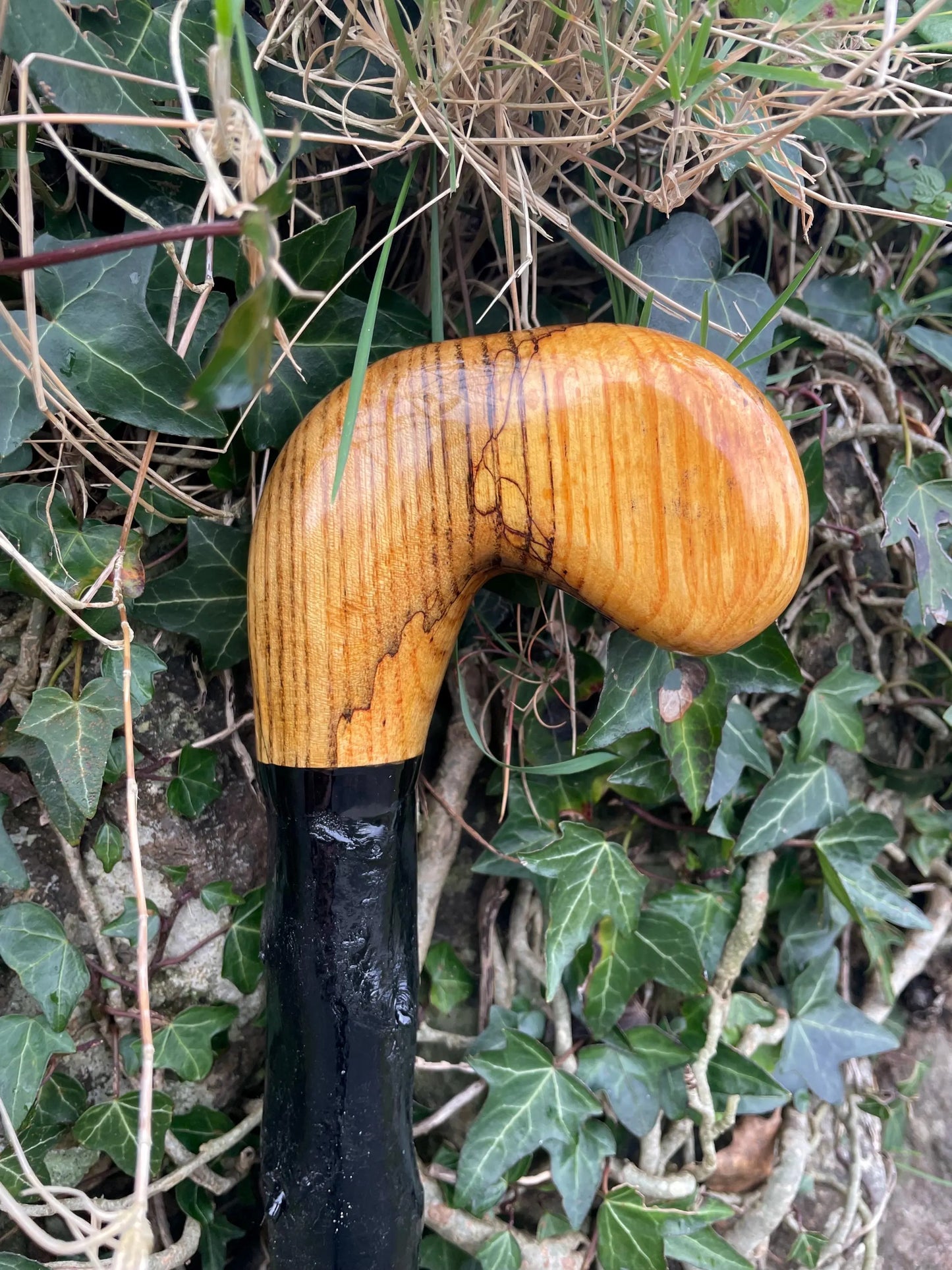 Luxury Blackthorn walking stick with Handle