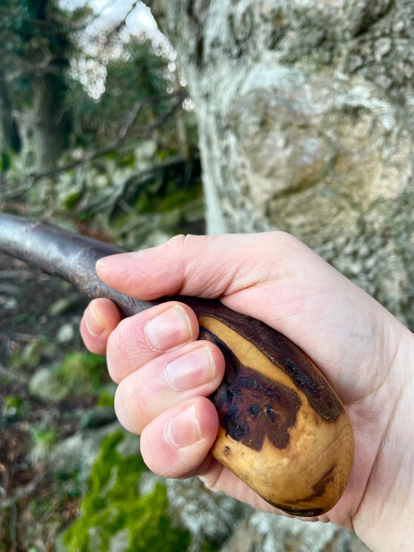Rugged Raspy Stick | Irish Walking Sticks
