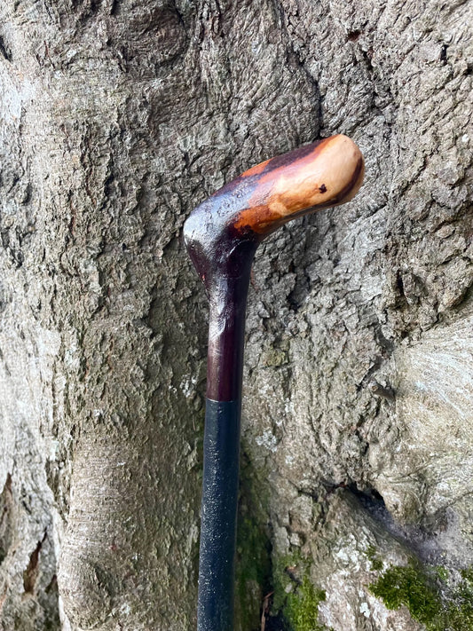 Iconic Blackthorn & Hazel | Irish Walking Sticks