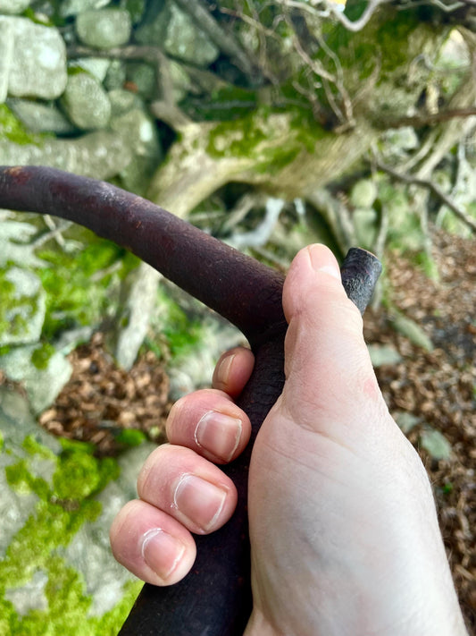 Beechwood Handle Stick | Irish Walking Sticks