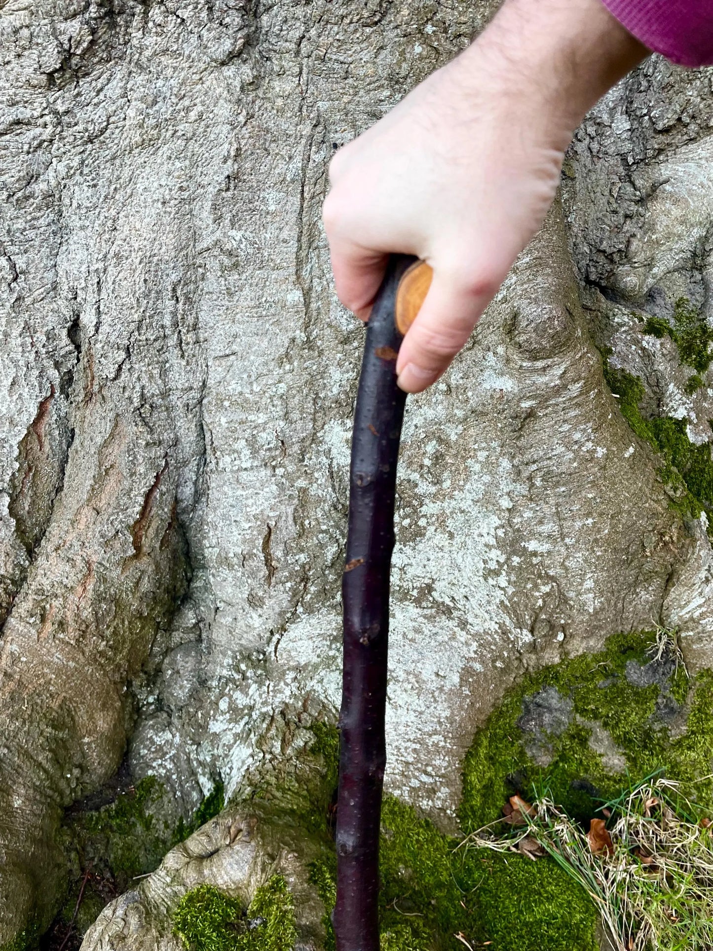 Rugged Raspy Stick | Irish Walking Sticks