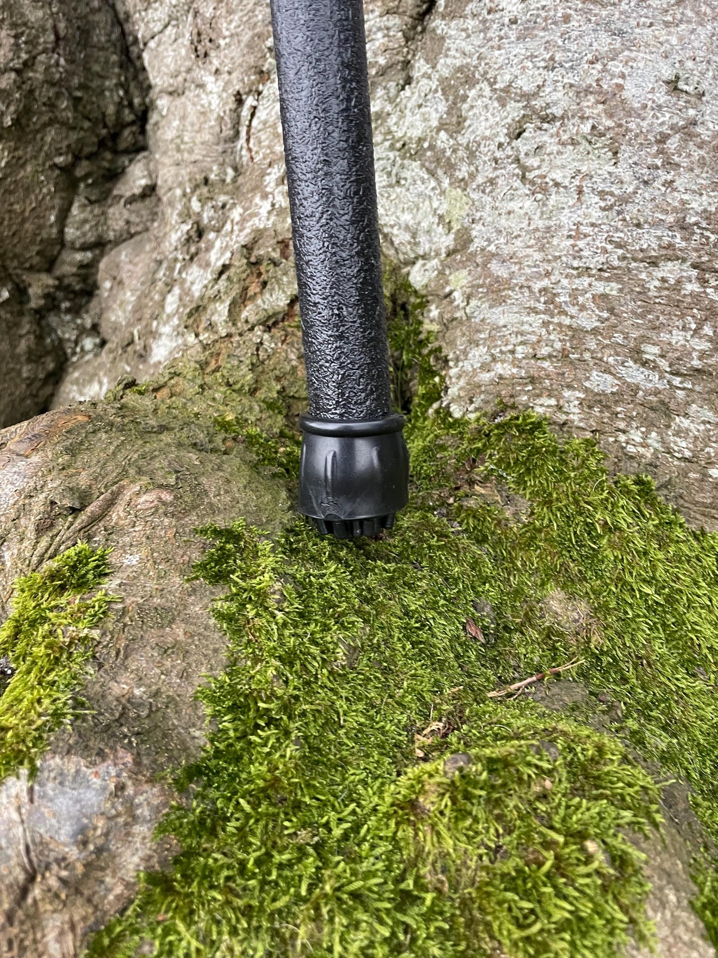Irish walking stick in Blackthorn and Hazel