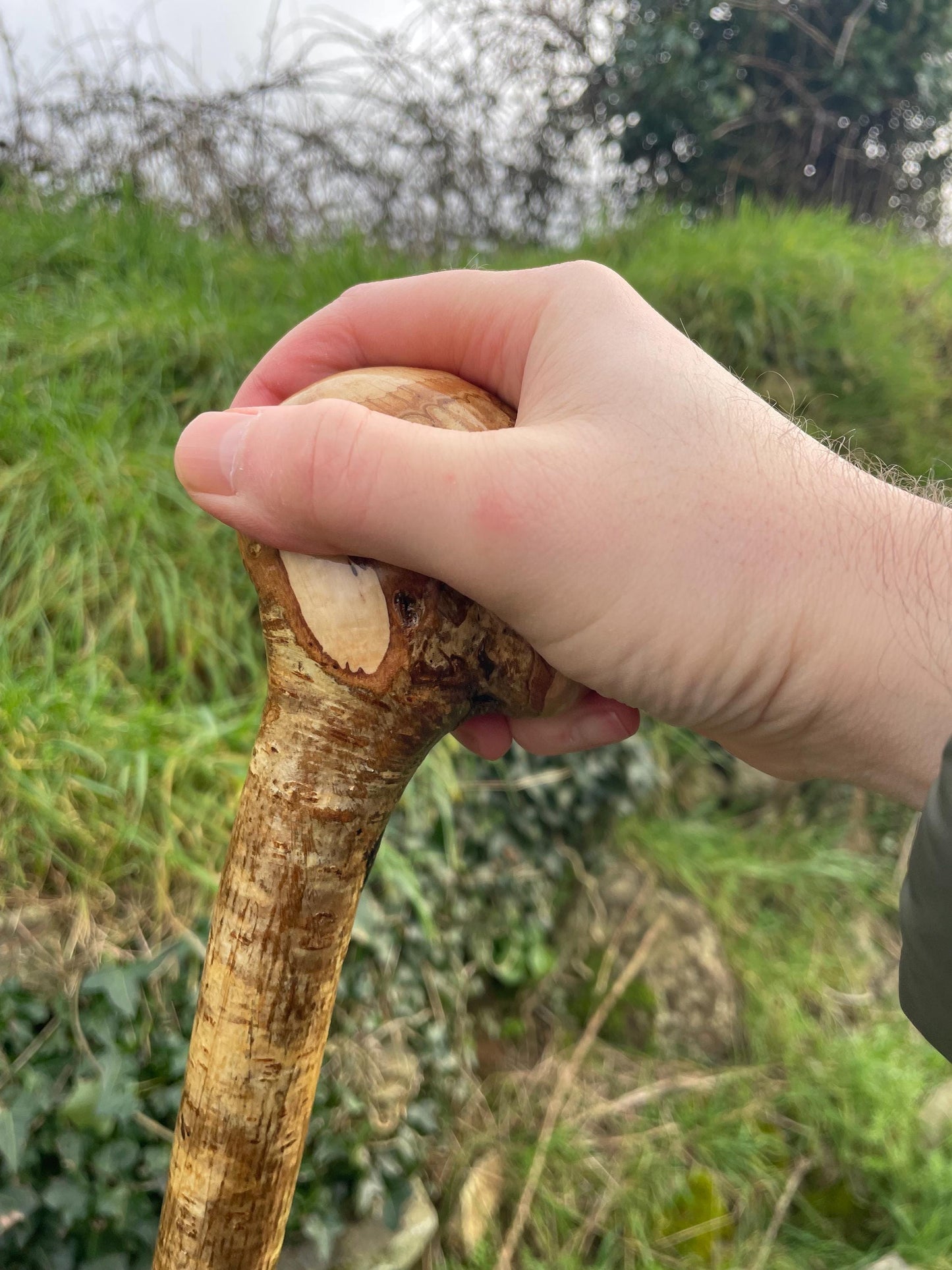 Hazel Irish walking stick with a knobhead