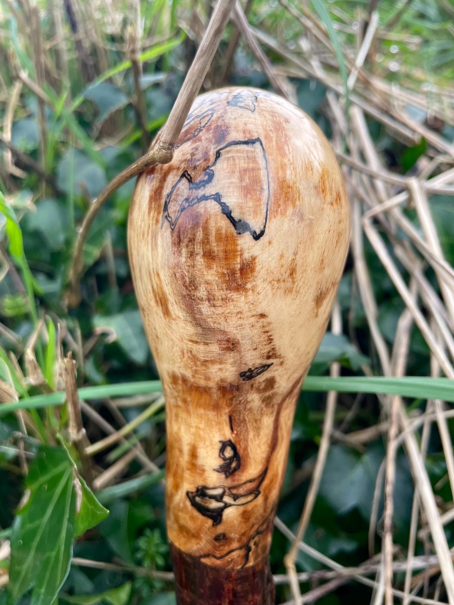 Hazel Irish walking stick with a knobhead