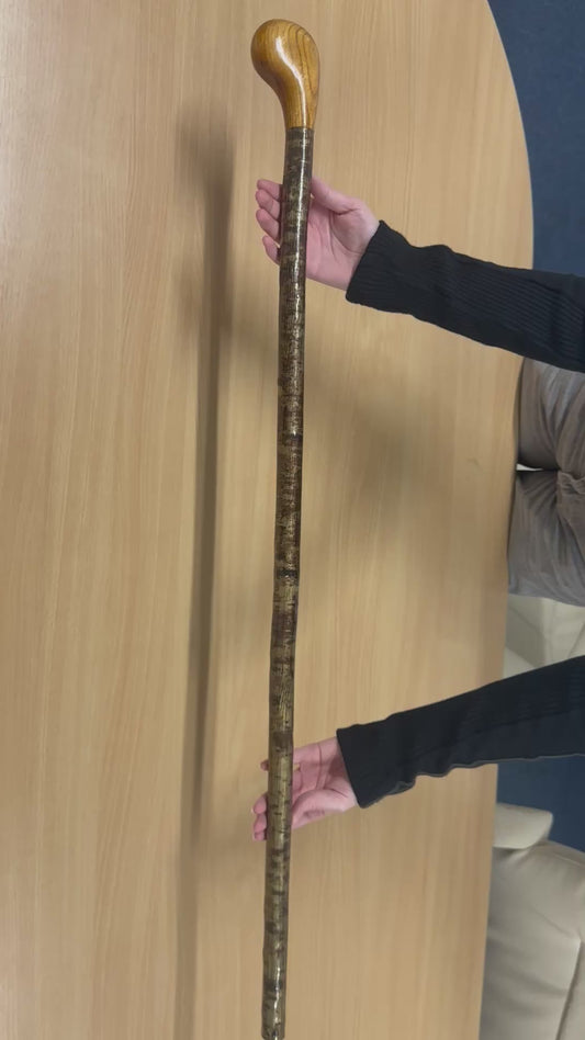 Two-Piece Hazel Walking Stick with Knob Handle – 100cm