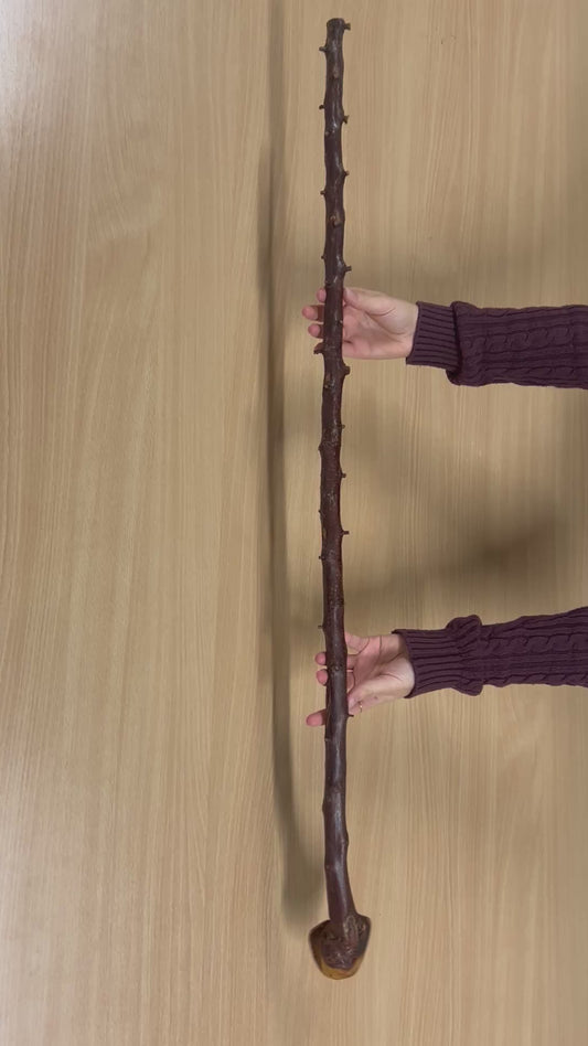 Very Thorny Blackthorn Walking Stick with Rough Head – 95cm