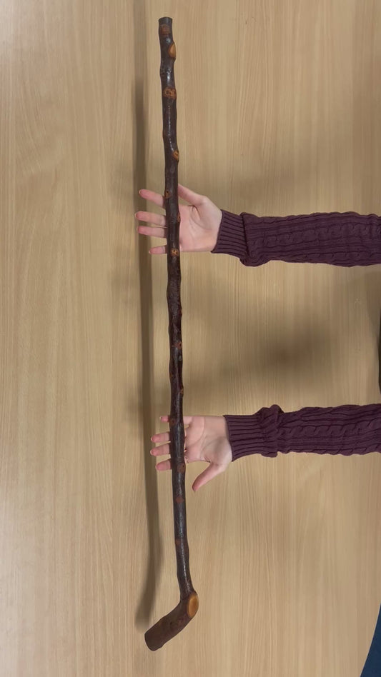 Bumpy Blackthorn Walking Stick with Sloped L Handle – 102cm