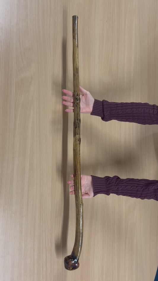 Hazel Walking Stick with Rugged Shaft & Dark Top – 102cm