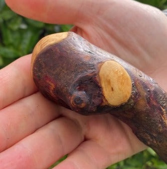 Blackthorn Walking Stick