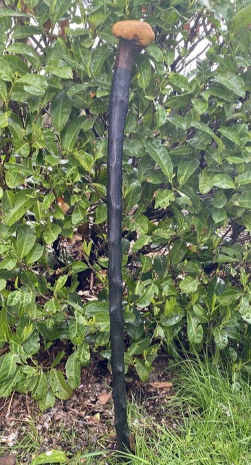 Blackthorn Stick #11 | Irish Walking Sticks