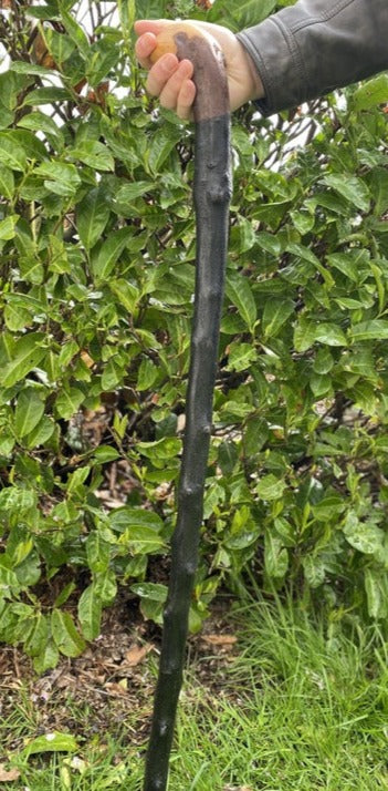Blackthorn Stick #11 | Irish Walking Sticks