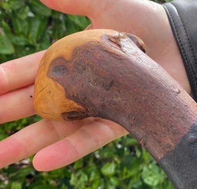 Blackthorn Stick #11 | Irish Walking Sticks