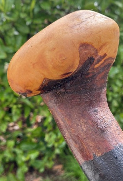 Blackthorn Stick #11 | Irish Walking Sticks