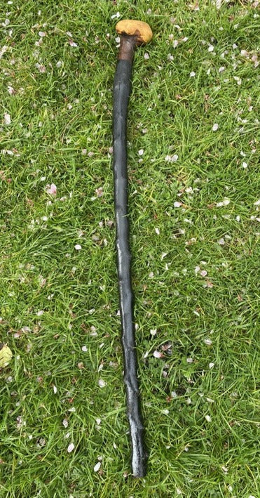 Blackthorn Stick #11 | Irish Walking Sticks